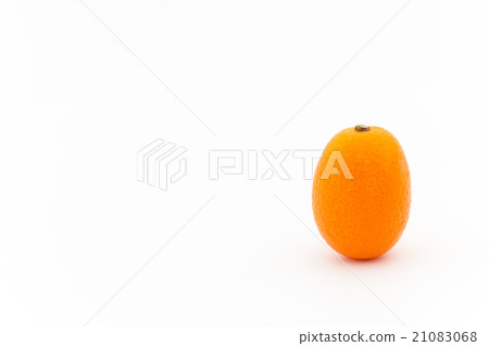 金橘:金橘 金橘:金橘 21083068