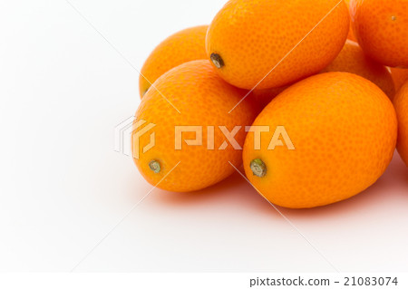 Kumquat: Kumquat 21083074