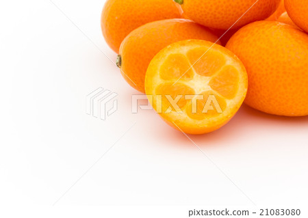 Kumquat: Kumquat Kumquat: Kumquat 21083080
