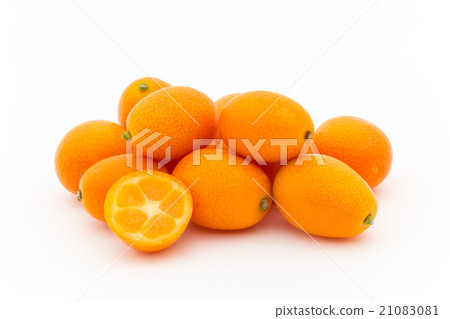 Kumquat: Kumquat 21083081