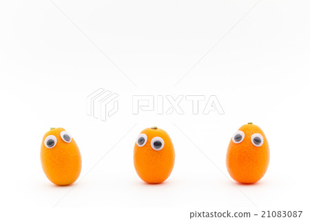 Eyeball seal · Kumquat: Wiggly-eyed kumquat 21083087