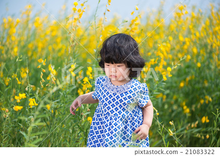 Cute Asian girl in yellow sunhemp flower field Cute Asian girl in yellow sunhemp flower field 21083322