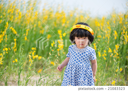Cute Asian girl in yellow sunhemp flower field Cute Asian girl in yellow sunhemp flower field 21083323