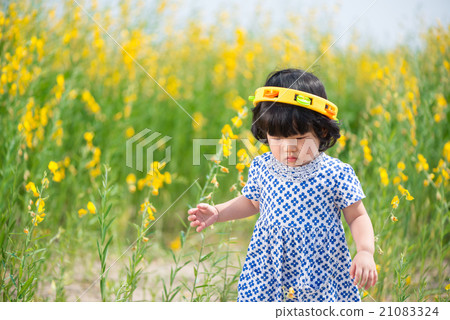 Cute Asian girl in yellow sunhemp flower field Cute Asian girl in yellow sunhemp flower field 21083324