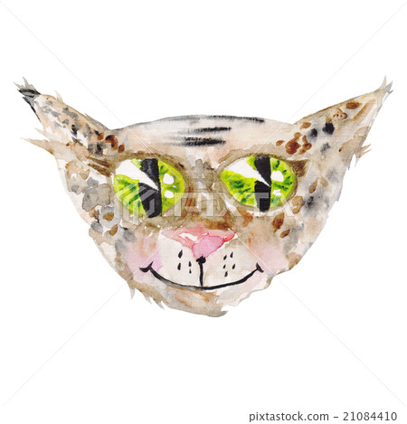 Watercolor Cat Face Watercolor Cat Face 21084410