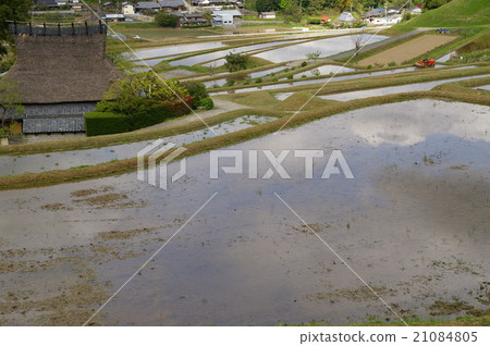 Rice terraces 21084805