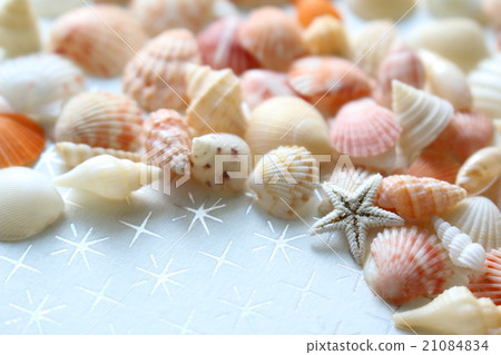 Colorful and cute seashells 21084834