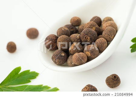 allspice 21084994