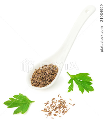 Dried seeds of cumin 21084999