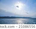 Island 21086556