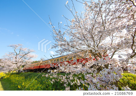 Kominato Railway Station 21086769