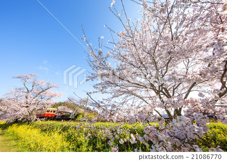 Kominato Railway Station 21086770