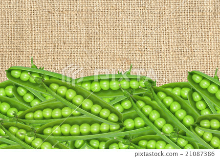fresh green peas on burlap cloth background 21087386