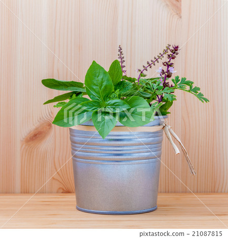 The fresh herbs from the garden. 21087815