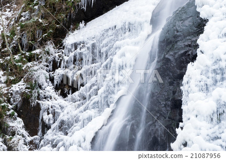 White boar waterfall 21087956