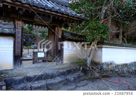 源賓山茶（奈良縣櫻井市） 21087958