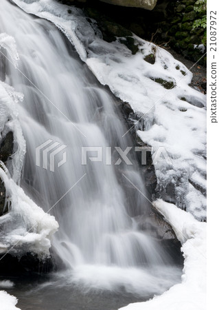 白色的野豬瀑布 21087972