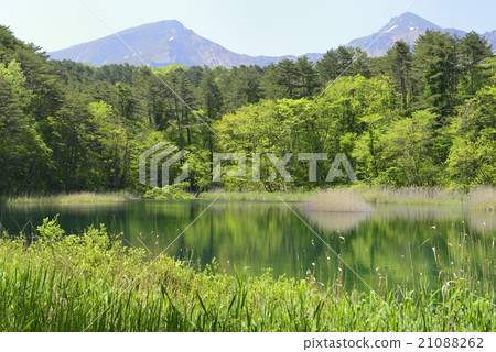 Back Bandai · Gokumonuma (Rurinuma) / Kitashiobara Village Fukushima Prefecture Back Bandai · Gokumonuma (Rurinuma) / Kitashiobara Village Fukushima Prefecture 21088262
