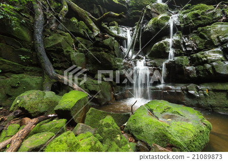 Waterfall in jungle 21089873