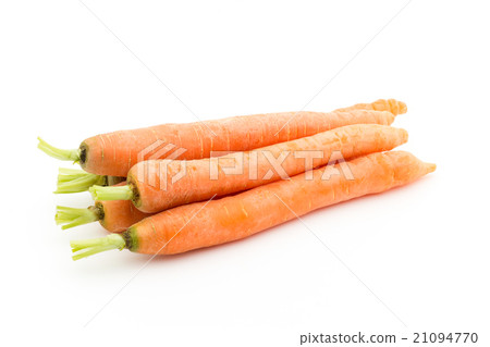 Carrot: Carrot Carrot: Carrot 21094770