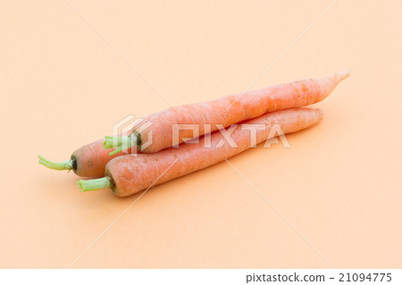 Carrot: Carrot 21094775