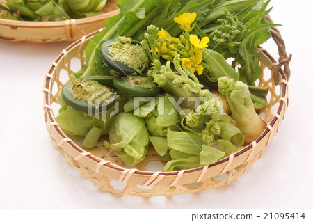 野菜和油菜花 21095414