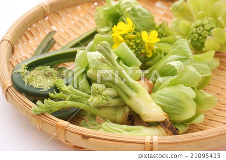 早春的味道 21095415