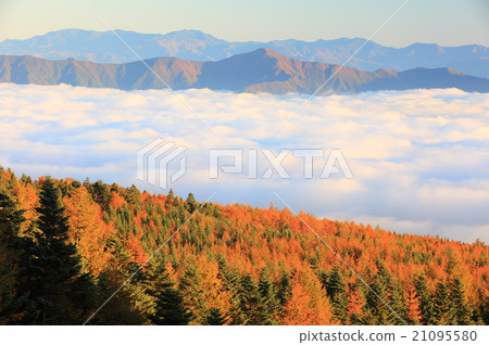 富士山雲海 21095580