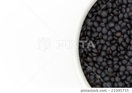 黑扁豆：黑扁豆 21095735