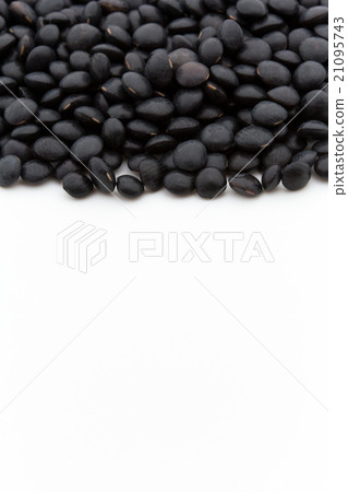黑扁豆：黑扁豆 21095743