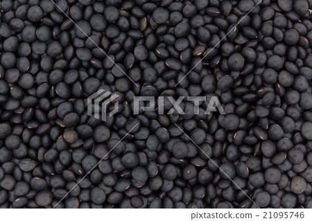 Black lentils: black lentils Black lentils: black lentils 21095746
