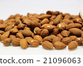 杏仁 21096063