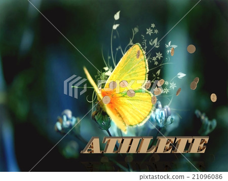 ATHLETE word, Bright beautiful moth or butterfly ATHLETE word, Bright beautiful moth or butterfly 21096086