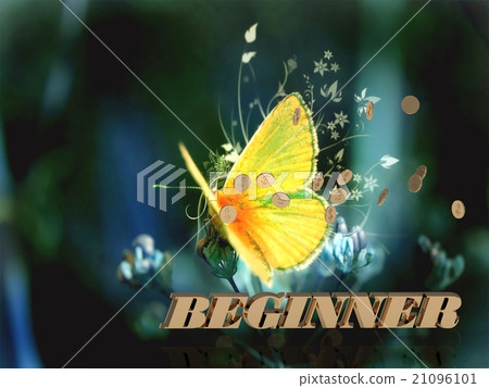 BEGINNER Bright word, beautiful moth or butterfly BEGINNER Bright word, beautiful moth or butterfly 21096101