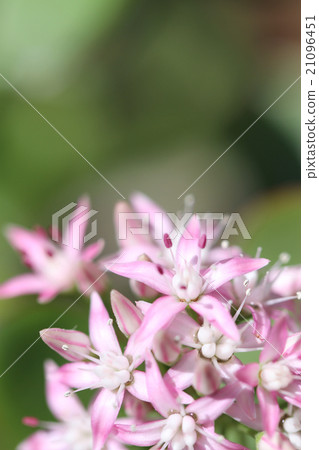 錢運氣·錢運氣了 21096451