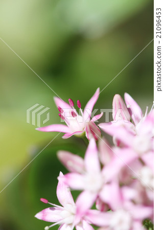 錢運氣·錢運氣了 21096453