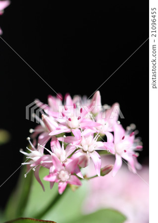 錢運氣·錢運氣了 錢運氣·錢運氣了 21096455