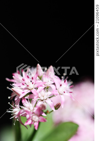 錢運氣·錢運氣了 錢運氣·錢運氣了 21096459