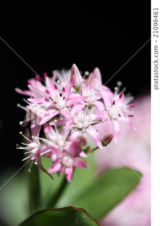 錢運氣·錢運氣了 錢運氣·錢運氣了 21096461