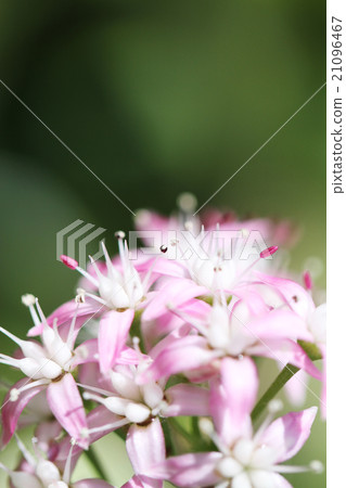 錢運氣·錢運氣了 錢運氣·錢運氣了 21096467