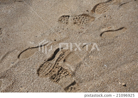 Footwear Footwear 21096925