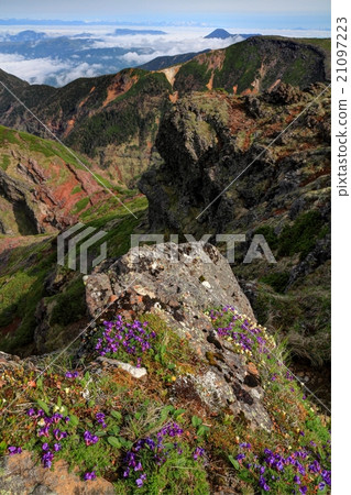 Takayama Plant of Yatsugatake Mountain · Yokodake and Iwodake · Tateshiyama 21097223