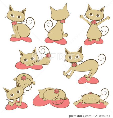 貓圖設置 貓圖設置 21098054