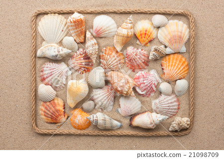 Beautiful frame of rope and sea shells on the sand Beautiful frame of rope and sea shells on the sand 21098709