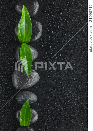 Line made from black stones and leaves Line made from black stones and leaves 21098713