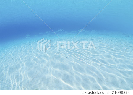 In the bright sea of Maldives In the bright sea of Maldives 21098834