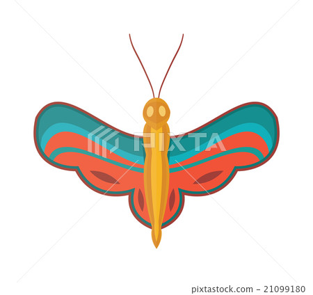 Colored cartoon butterfly vector isolated on white 21099180