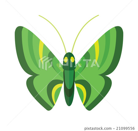 Colored cartoon butterfly vector isolated on white 21099556