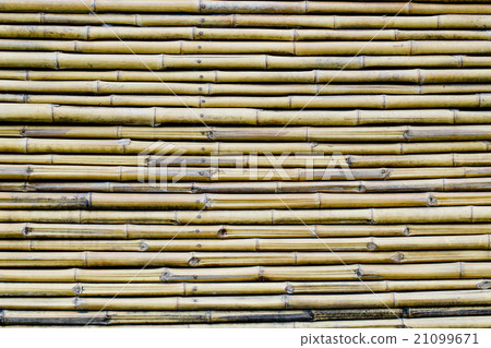 bamboo fence background 21099671