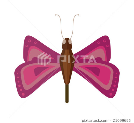Colored cartoon butterfly vector isolated on white 21099695
